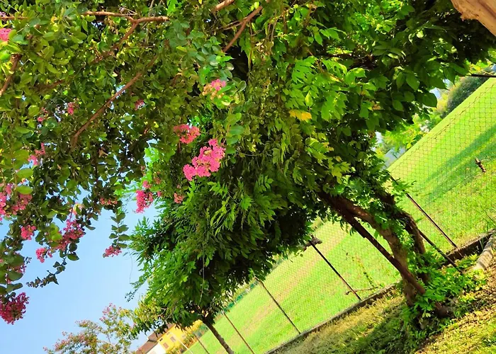 Lavanda House فيتشنزا