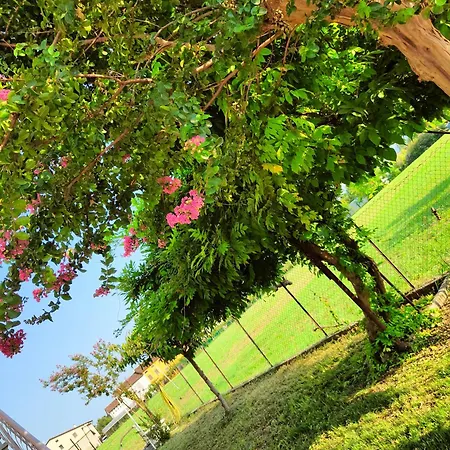 Lavanda House فيتشنزا